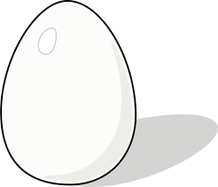 el huevo es fuente de vitamina B12