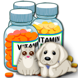 complementos y suplementos nutricionales para mascotas