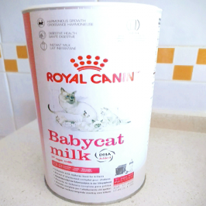Babycat milk, leche de sustitución para gatitos