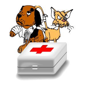 Salud Y Cuidados De las Mascotas