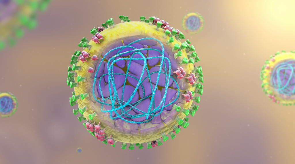 el virus H1N1 (influenza-gripe A) aparece envuelto con membrana lipídica externa